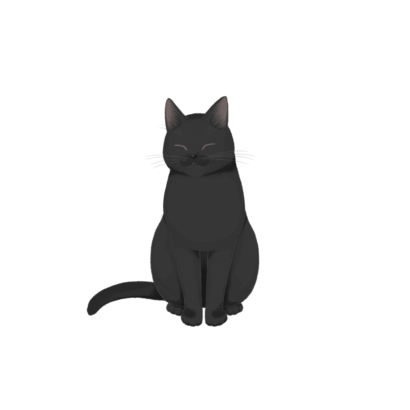黑猫 Hijiki