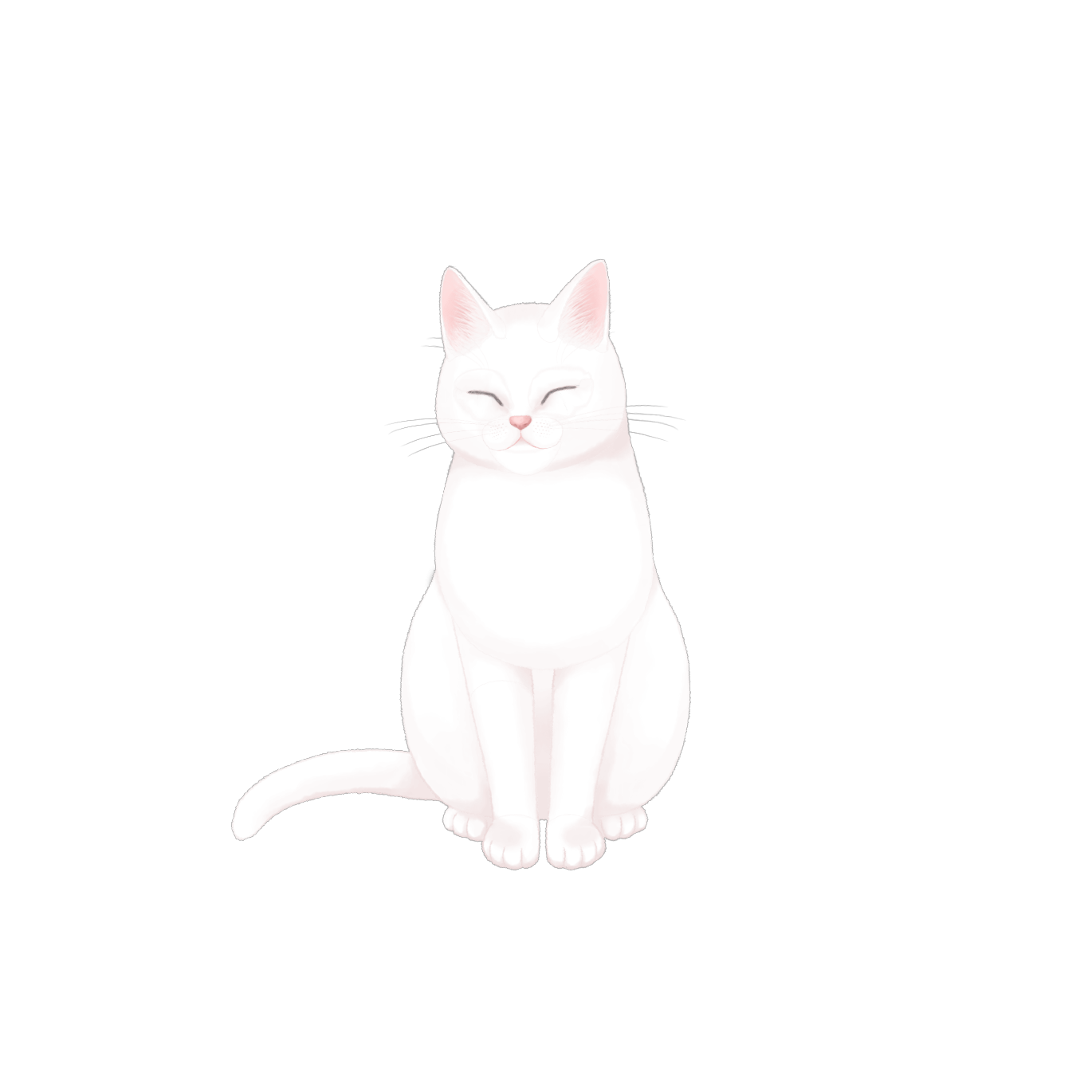 白猫 Tororo